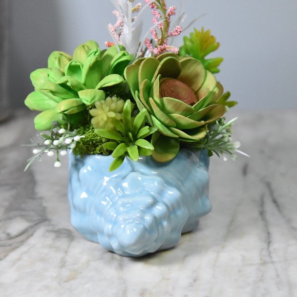 Blue seashell planter fille with sustainable Sola wood airbrushed succulents - - Picture 2 of 7